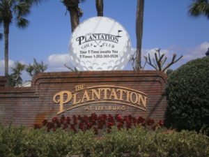 The-Plantation